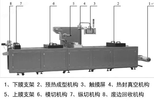 全自动糕点真空包装机 全自动食品包装机