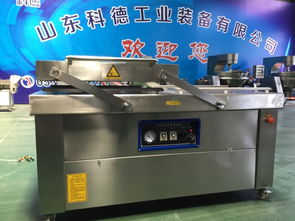 双室真空包装机商用不锈钢食品包装设备